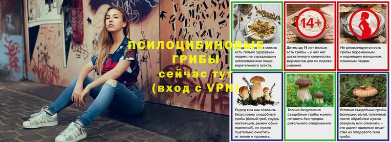 кракен ссылки  Мамоново  Псилоцибиновые грибы Magic Shrooms 